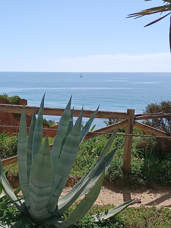 Mar A Vista Algarve Summer Portimão Exteriér fotografie
